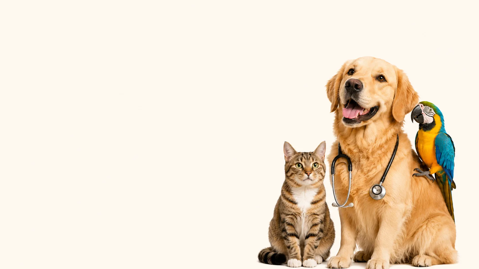 Veterinary Services Islamabad